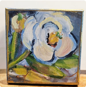 Magnolia 4x4
