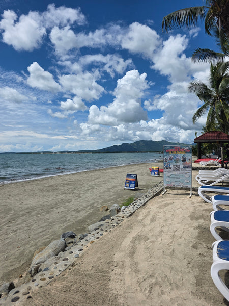 Nadi, Fiji Views 9x12